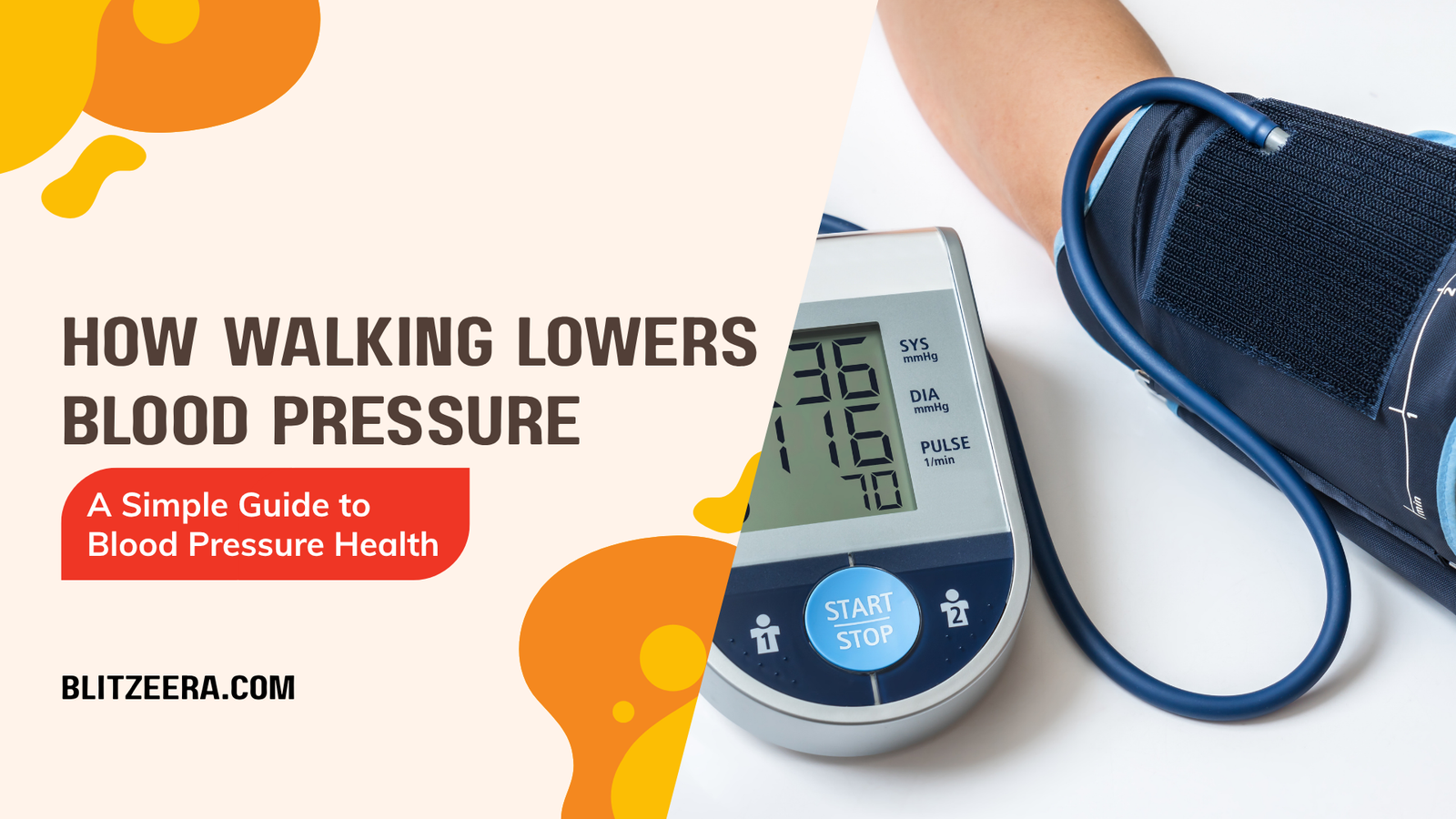 How Walking Lowers Blood Pressure