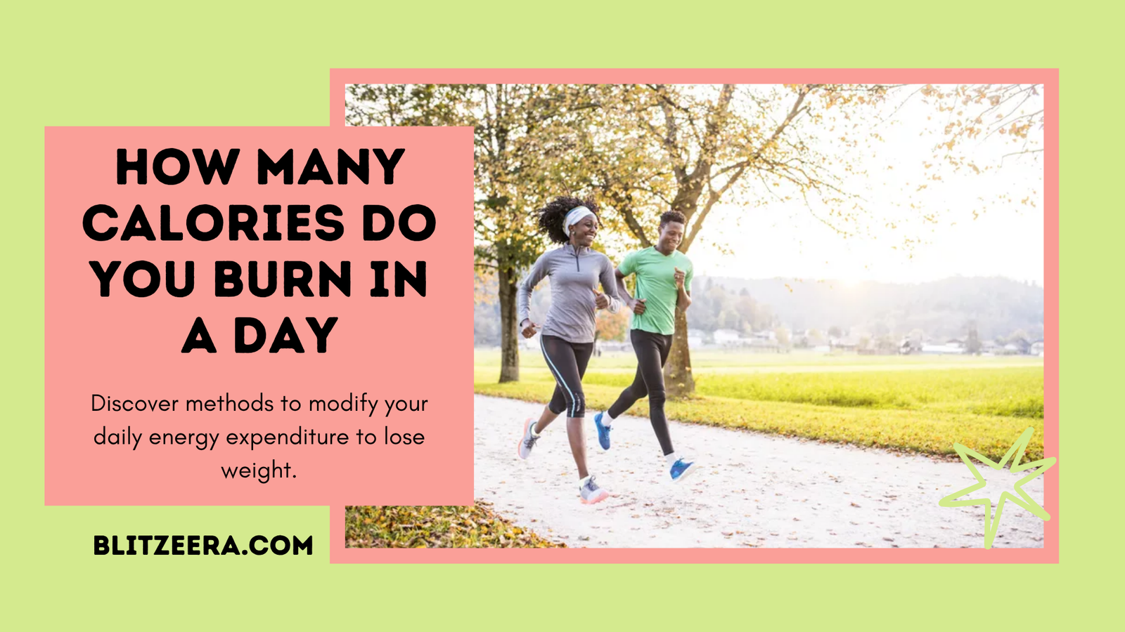 How Many Calories Do You Burn In A Day